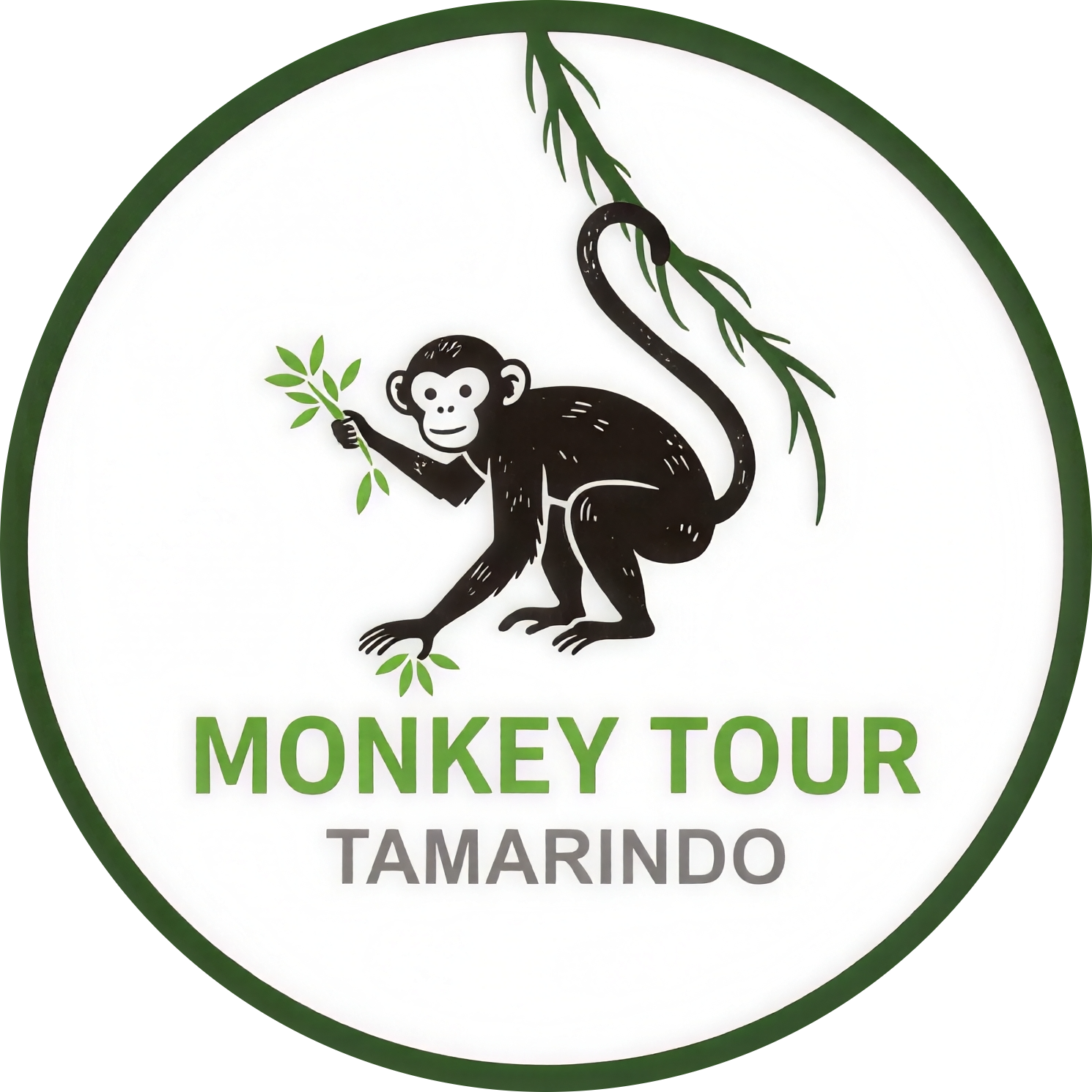Monkey Tour Tamarindo